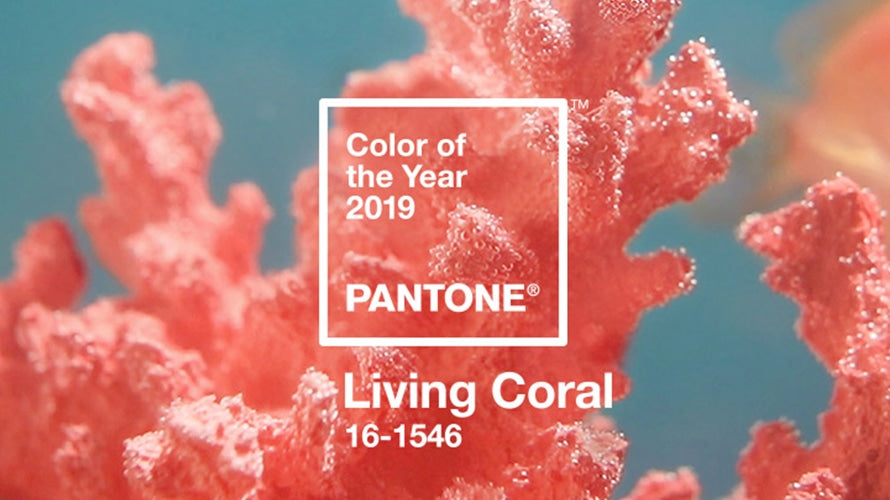 Trend 2019: Living Coral - Pantone Farbe 2019